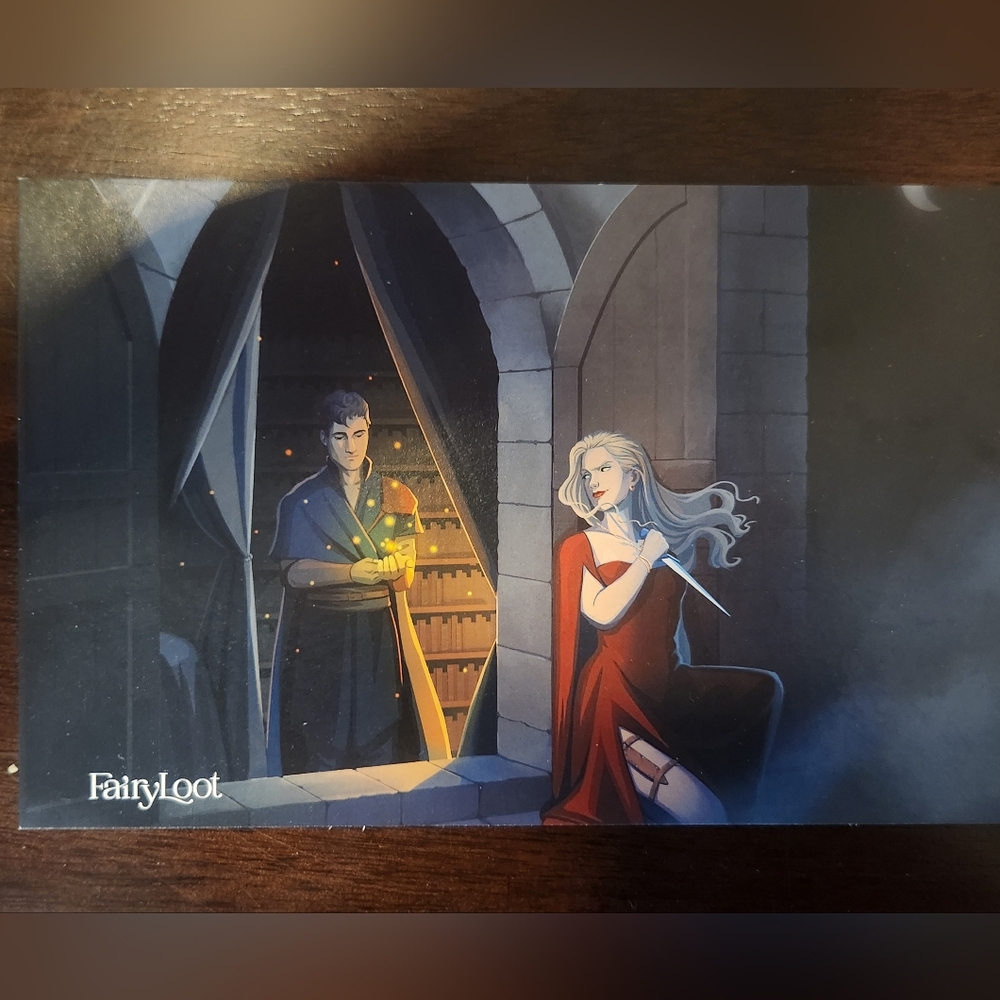 FairyLoot Art Print